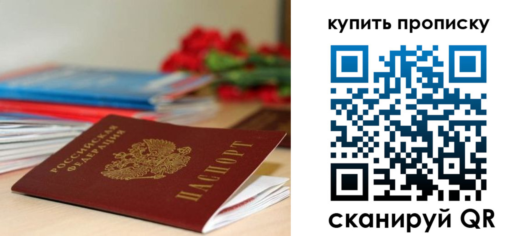 прописка в Дмитрове